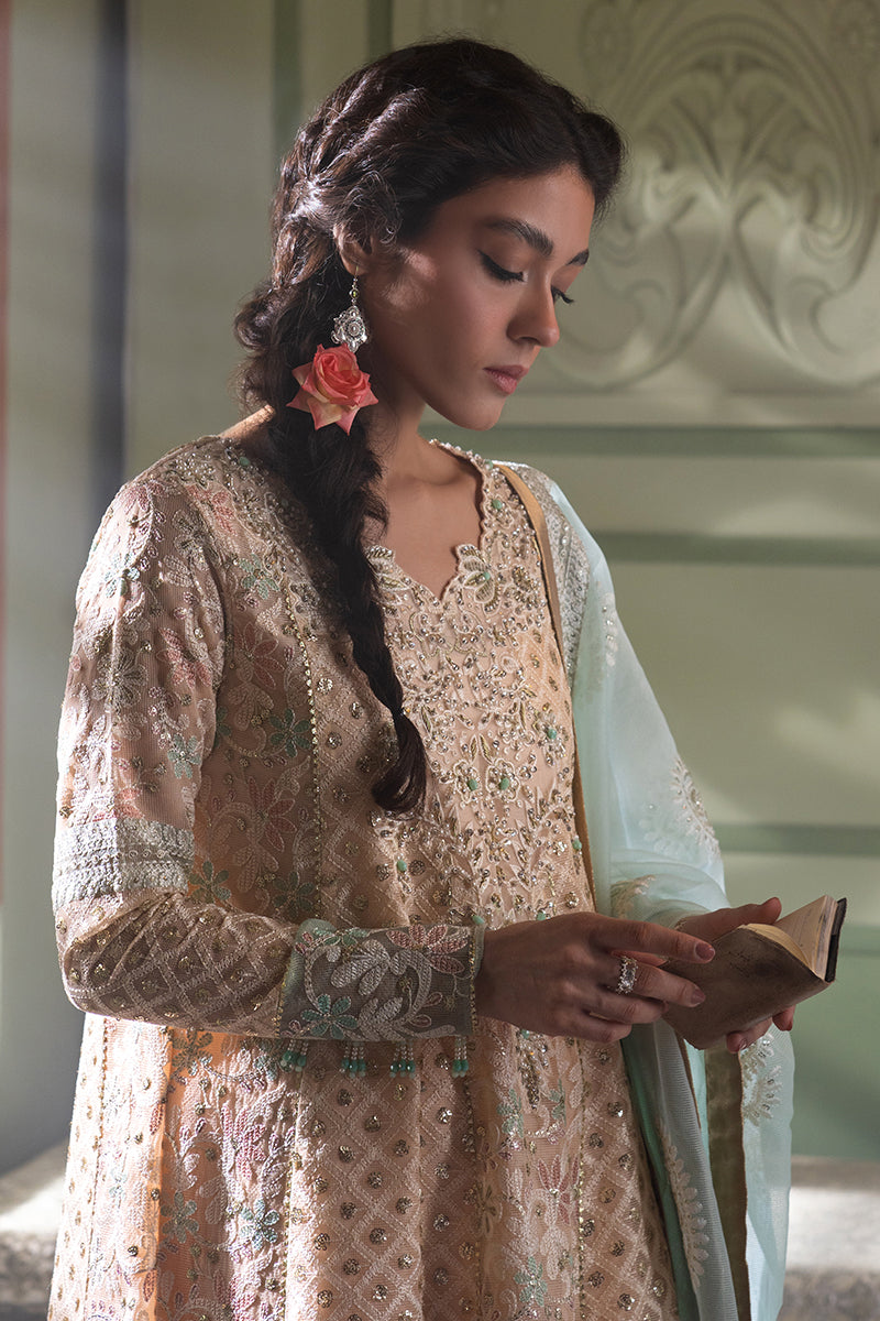 Amira